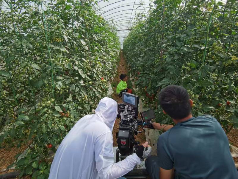 静安区产品宣传视频拍摄公司进阶指南，助力品牌抢占传播高地